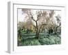 Vibrating the Olives from the Trees in the Olive Groves of Marina Colonna, Molise, Italy-Michael Newton-Framed Photographic Print