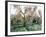 Vibrating the Olives from the Trees in the Olive Groves of Marina Colonna, Molise, Italy-Michael Newton-Framed Photographic Print