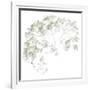 Viburnum, 2006-Anne Montiel-Framed Premium Giclee Print