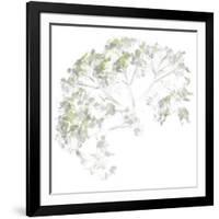 Viburnum, 2006-Anne Montiel-Framed Premium Giclee Print