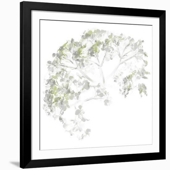 Viburnum, 2006-Anne Montiel-Framed Premium Giclee Print