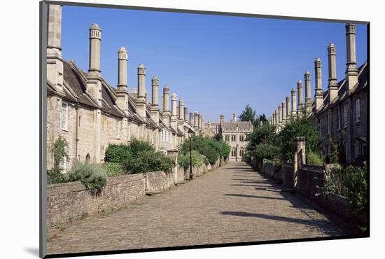 Vicar's Close, Wells, Somerset, England, United Kingdom-Julia Bayne-Mounted Photographic Print