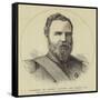 Vice-Admiral Sir Frederick Beauchamp Paget Seymour, Gcb-null-Framed Stretched Canvas