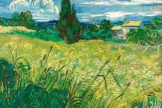 A wheatfield with cypresses, 1889. Oil on canvas, 72,1 x 90,9 cm NG3861.-Vicent van Gogh-Poster