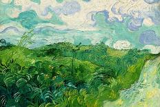 A wheatfield with cypresses, 1889. Oil on canvas, 72,1 x 90,9 cm NG3861.-Vicent van Gogh-Poster