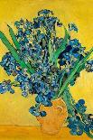 Irises. Date: May 1890, Saint-Rémy-de-Provence. Dimensions: 92.7 cm x 73.9 cm, 111.5 cm x 92.9 cm.-Vicent van Gogh-Framed Poster