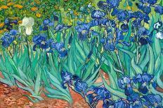 roses.-Vicent van Gogh-Poster