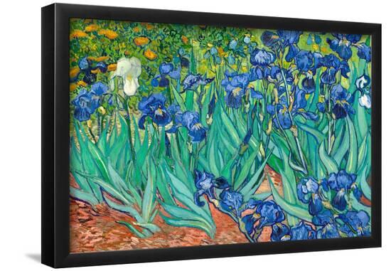 Poster, , large