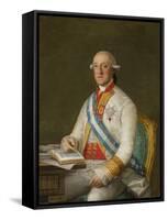 Vicente Maria De Vera De Aragon, Duque De La Roca, C.1795-Francisco de Goya-Framed Stretched Canvas