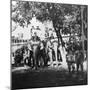 Viceregal Staff and His Daughter Taking Part in the Elephant Procession, Delhi, India, 1900s-H & Son Hands-Mounted Giclee Print