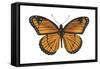 Viceroy Butterfly (Basilarchia Archippus), Insects-Encyclopaedia Britannica-Framed Stretched Canvas