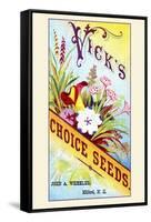 Vick's Choice Seeds-null-Framed Stretched Canvas