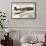 Vickers Wellesley Bomber-null-Framed Stretched Canvas displayed on a wall