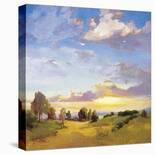 A Sunset Salute-Vicki Mcmurry-Stretched Canvas