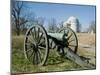 Vicksburg Battlefield, Mississippi, USA-Ethel Davies-Mounted Photographic Print