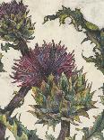 Spear Thistle - Gauche-Vicky Oldfield-Mounted Giclee Print