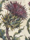 Spear Thistle - Droit-Vicky Oldfield-Giclee Print