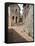 Vicoli, Side Streets, Assisi, Umbria, Italy, Europe-Olivieri Oliviero-Framed Stretched Canvas