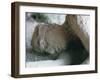 Victim of Vesuvius Eruption, Form Later Revealed by Injecting Plaster, Campania-Walter Rawlings-Framed Photographic Print