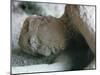 Victim of Vesuvius Eruption, Form Later Revealed by Injecting Plaster, Campania-Walter Rawlings-Mounted Photographic Print