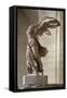 Victoire de Samothrace-null-Framed Stretched Canvas