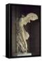 Victoire de Samothrace-null-Framed Stretched Canvas