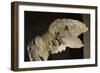 Victoire de Samothrace-null-Framed Giclee Print