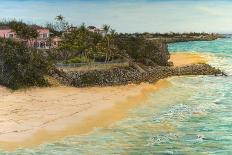 Crane Beach-Victor Collector-Giclee Print