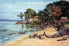 Crane Beach-Victor Collector-Giclee Print