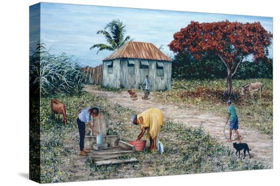 Stretched Canvas Print, , large