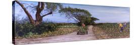 Stretched Canvas