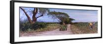 Black Frame