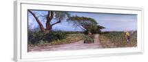White Frame