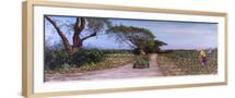 Brown Frame