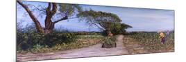 Wood Mount