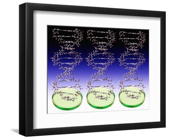 Premium Photographic Print, , large