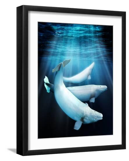 Photographic Print, , large