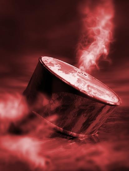 Photographic Print, , large