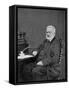 Victor Hugo, French Author, 1872-null-Framed Stretched Canvas