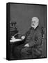 Victor Hugo, French Author, 1872-null-Framed Stretched Canvas