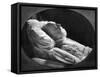 Victor Hugo, French Author, on His Deathbed, 22nd May 1885-null-Framed Stretched Canvas