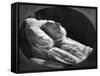 Victor Hugo, French Author, on His Deathbed, 22nd May 1885-null-Framed Stretched Canvas