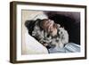 Victor Hugo-Henri Thiriat-Framed Giclee Print