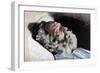 Victor Hugo-Henri Thiriat-Framed Giclee Print