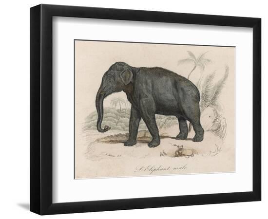 Art Print, , large