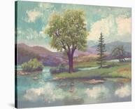 River Scape I-Victor Valla-Stretched Canvas