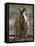 Victoria, A Wallaby and Her Joey on Phillip Island, Australia-Nigel Pavitt-Framed Stretched Canvas