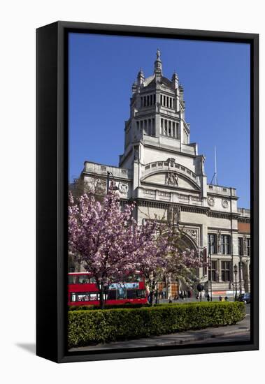 Victoria and Albert Museum with Cherry Blossom Trees-Stuart Black-Framed Stretched Canvas