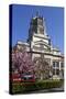 Victoria and Albert Museum with Cherry Blossom Trees-Stuart Black-Stretched Canvas