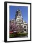 Victoria and Albert Museum with Cherry Blossom Trees-Stuart Black-Framed Photographic Print